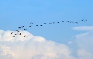 cloud migration 